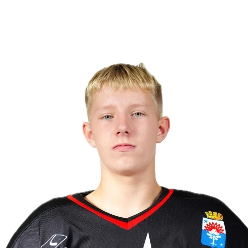 Hripunov Roman Olegovich