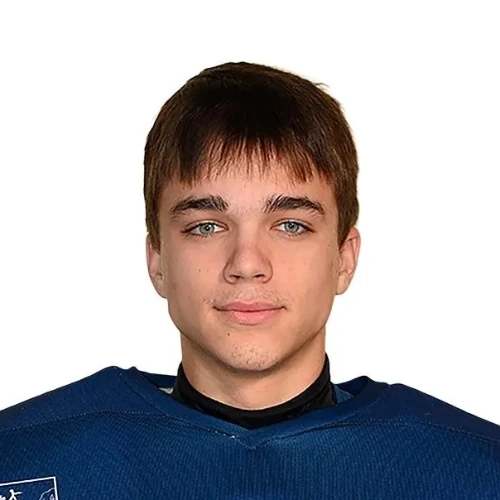 Ogorodnikov Artur Kirillovich