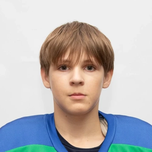 Poverennyh Igor Aleksandrovich