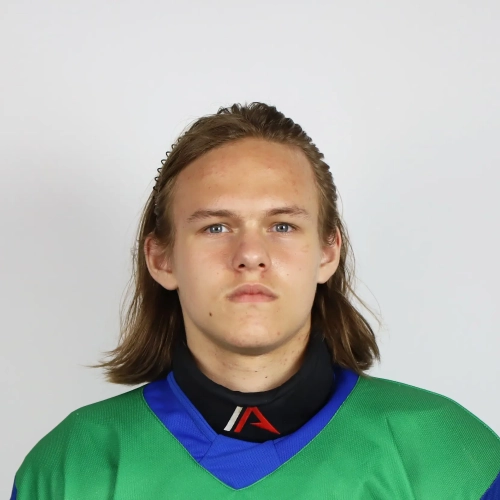 Trachev Yaroslav Dmitrievich