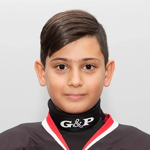 Mamedov Emir Talehogly