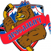 Ярославич