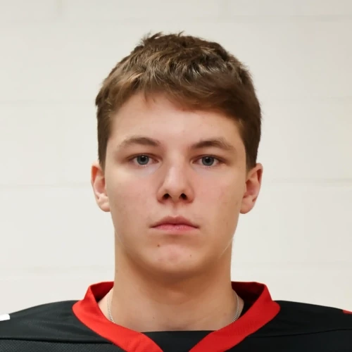 Kuzminyh Ilya Vitalevich