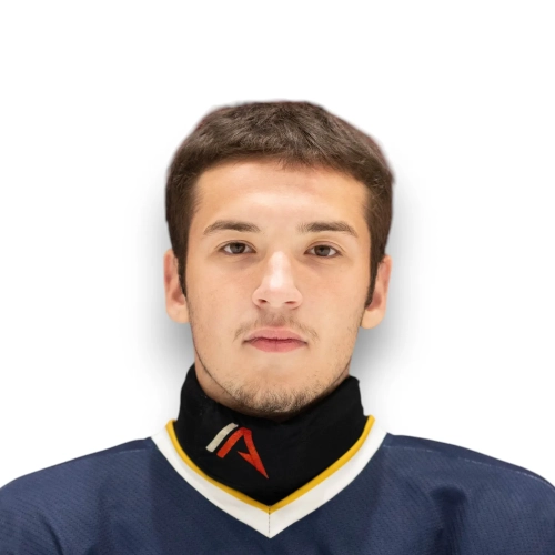 Tarasov Egor Igorevich