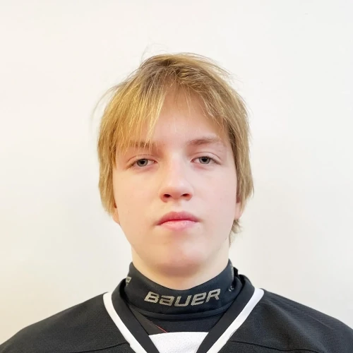 Borodin Kirill Olegovich