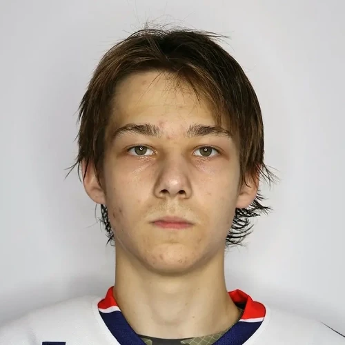 Karabalin Dmitrii Alekseevich