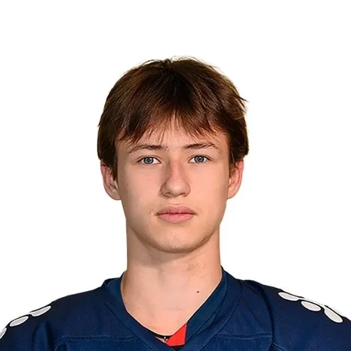 Kalinin Egor Igorevich