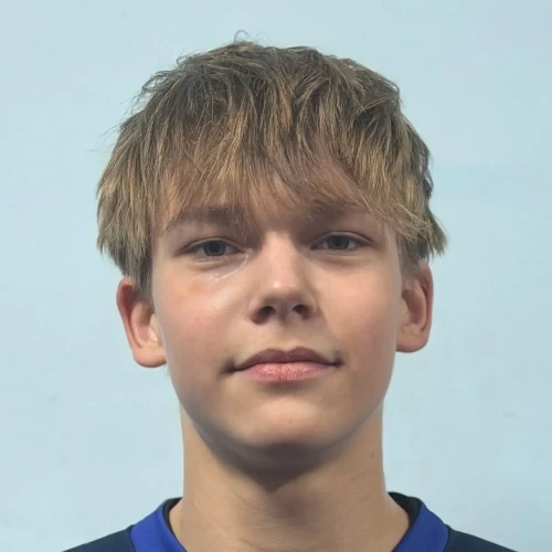 Vorobev Platon Igorevich