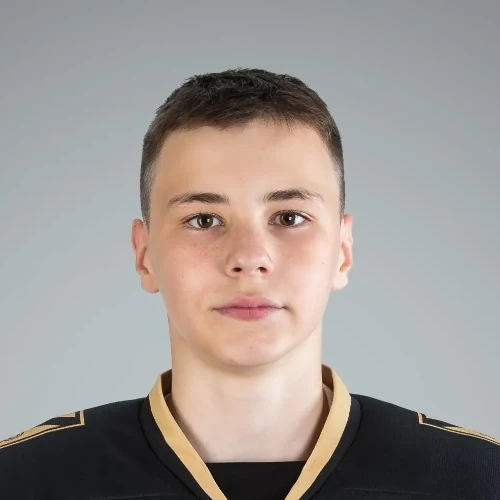Ryabinin Artem Mihailovich