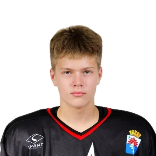 Postnikov Savelii Vasilevich