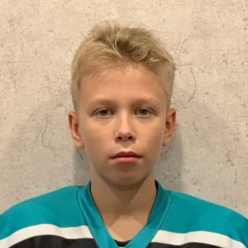 Maier Vladimir Romanovich