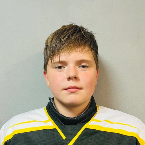 Levin Kirill Aleksandrovich