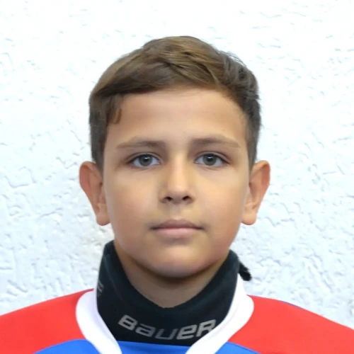 Petersonov Nikita Maksimovich