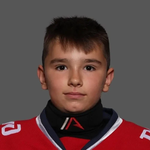 Brylyakov Dmitrii