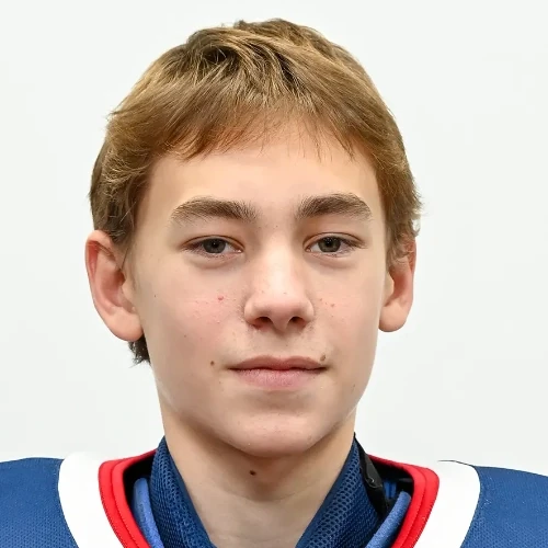 Egorov Dmitrii Vladimirovich