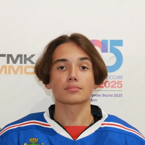 Zyryanov Nikita Dmitrievich