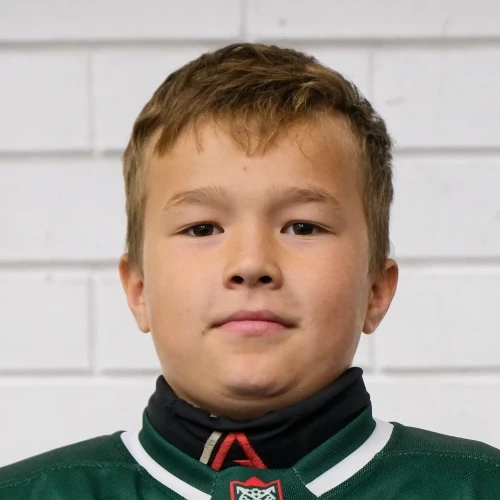 Husniev Ilmir Ilnarovich