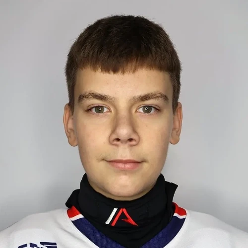 Vorobev Vladislav Sergeevich