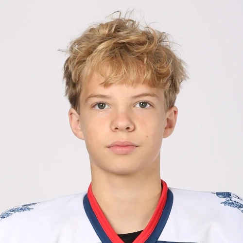 Vorobev Aleksei Sergeevich