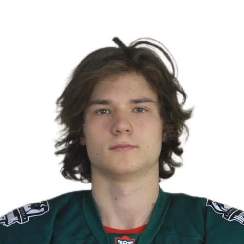 Nikitin Konstantin Borisovich