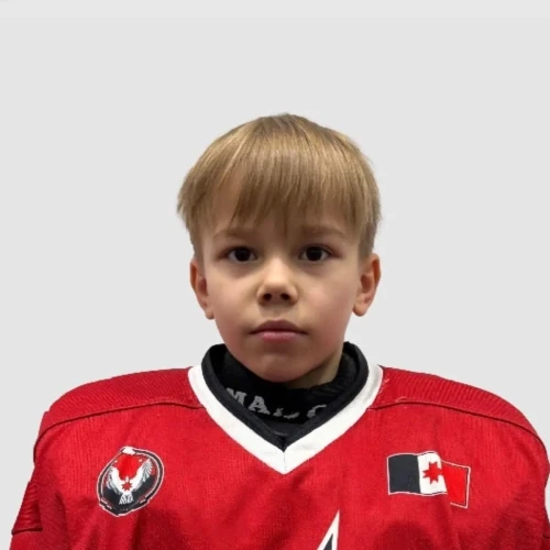Mamontov Roman Nikitich