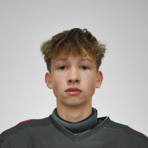 Meleshkin Elisei Dmitrievich