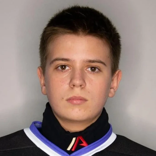 Bakushin Aleksandr Alekseevich