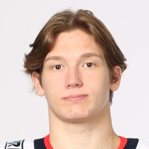 Mishin Vladislav Alekseevich