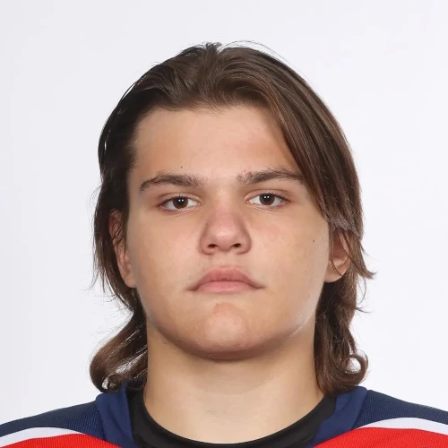 Ermakov Nikita Evgenevich