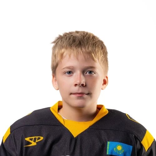 Shefanik Denis Sergeevich