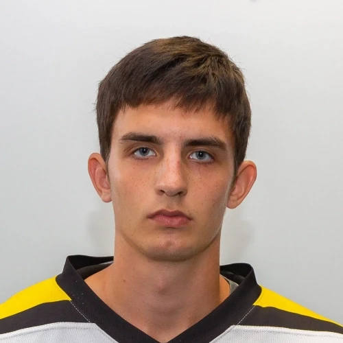 Kurnikov Artem Aleksandrovich