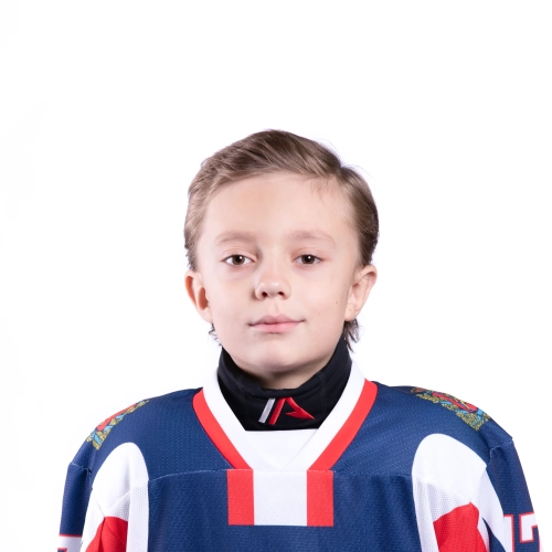 Vostrov Makar Alekseevich