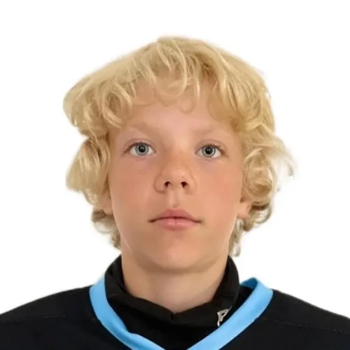Mandrik Nikita Sergeevich