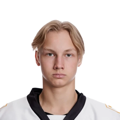 Devyashin Vsevolod Stanislavovich