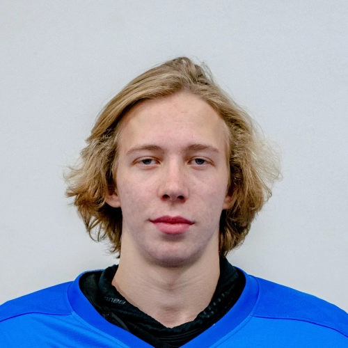 Prihodko Artem Maksimovich