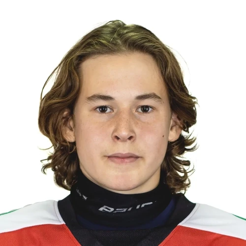 Kurchev Gleb Viktorovich