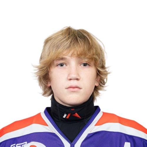 Voronin Savelii Dmitrievich