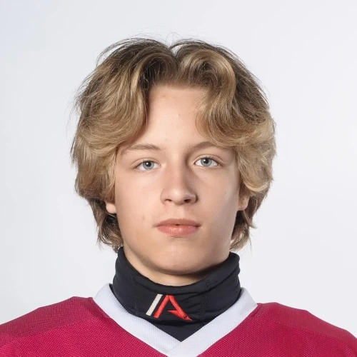 Eremeev Vladislav Pavlovich