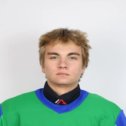 Dubinin Nikita Artemovich