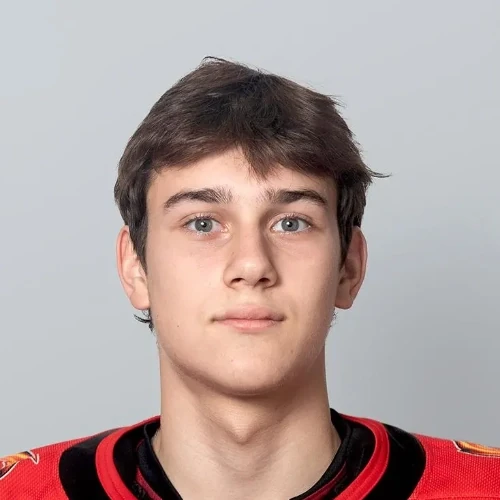Nikiforov Timofei Anatolevich