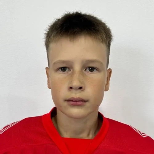 Petrov Artem Igorevich