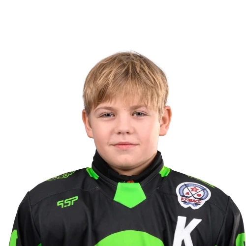 Noskov Dmitrii Olegovich