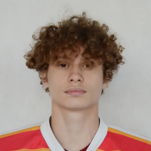 Shishlenkov Nikita Sergeevich