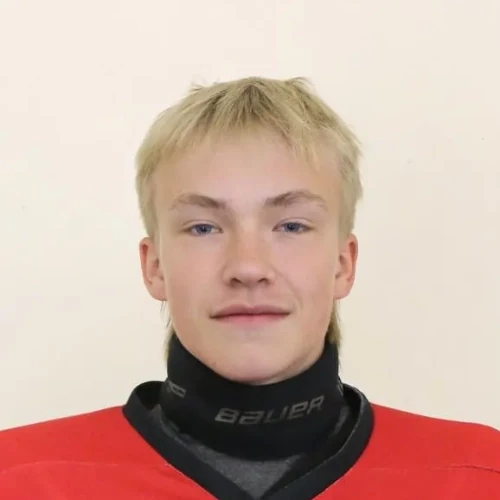 Ivaschenko Artem Evgenevich