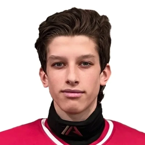 Nesterov Andrei Andreevich