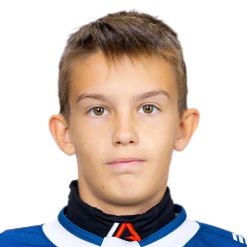Stepin Ilya Sergeevich