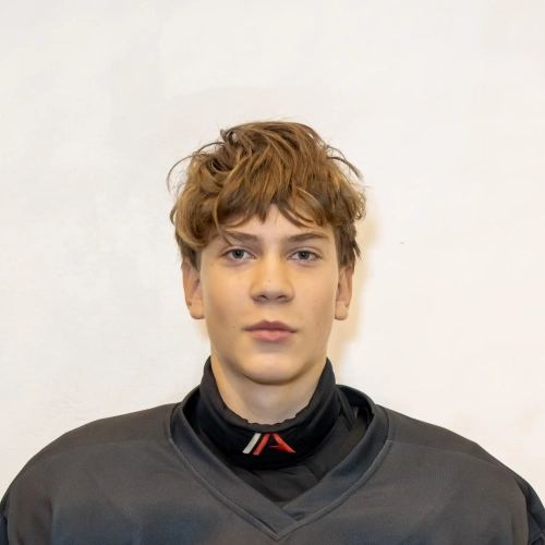 Alekseev Nikita Andreevich