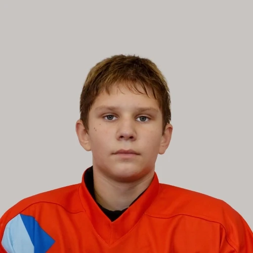 Naidenyshev Nikita Vyacheslavovich