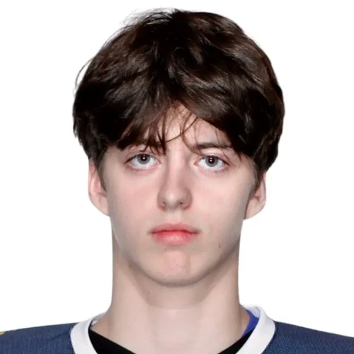 Telepnev Artem Evgenevich