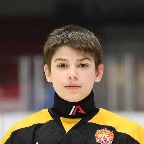 Brazhkin Nikolai Konstantinovich